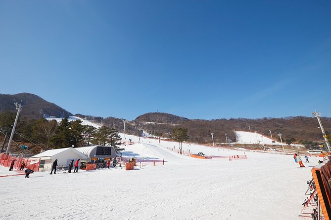 Korea Ski Tour from Seoul - Jisan Resort with Isaac Toast - Price and Booking Timing: Is $19.95 a Real Deal?