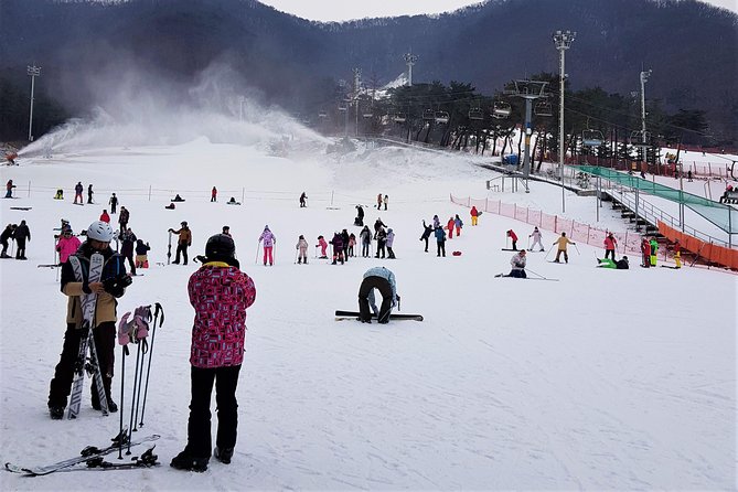 Korea Ski Tour from Seoul - Jisan Resort with Isaac Toast - Who This Seoul to Jisan Ski Tour Fits Best