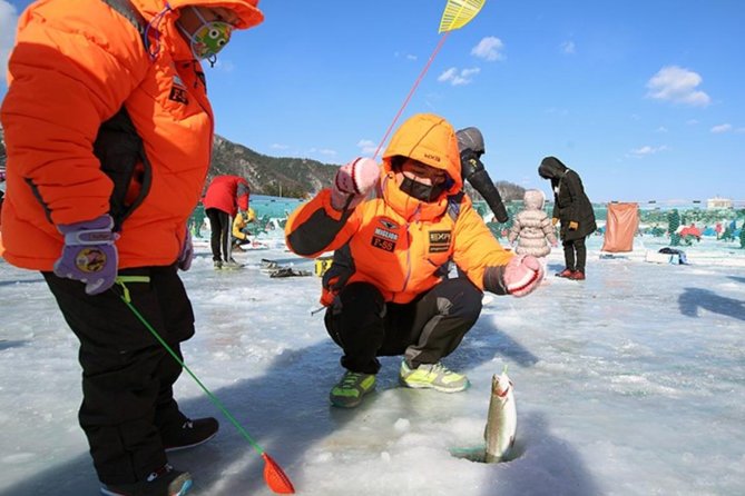 Korea Winter Ice Fishing Festival (Pyeongchang Trout Festival) - Why Pyeongchang Trout Festival feels like a true winter event
