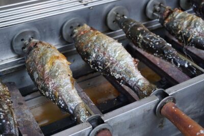 Korea Winter Ice Fishing Festival (Pyeongchang Trout Festival) - Getting from Hongik Univ. Station to Pyeongchang-gun (and back)