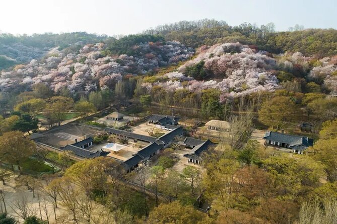 Korean Folk Village Afternoon Half day Tour - Timing Reality Check: When the Village Visit Feels Too Short