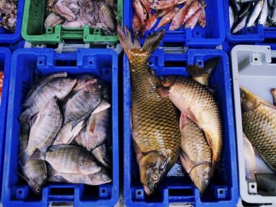 Korean Market Adventure with Chef Yie - Noryangjin Fish market - Chef Yie’s Market Lesson: What You’re Really Learning