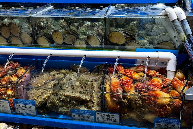 Korean Market Adventure with Chef Yie - Noryangjin Fish market - What This Tour Teaches You About Korean Seafood Culture