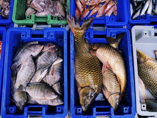 Korean Market Adventure with Chef Yie - Noryangjin Fish market - Chef Yie’s Market Lesson: What You’re Really Learning