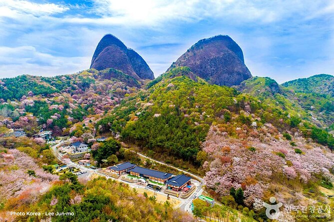 Maisan Cherry Blossom and Jeonju Hanok Village - Key Highlights You’ll Feel Right Away