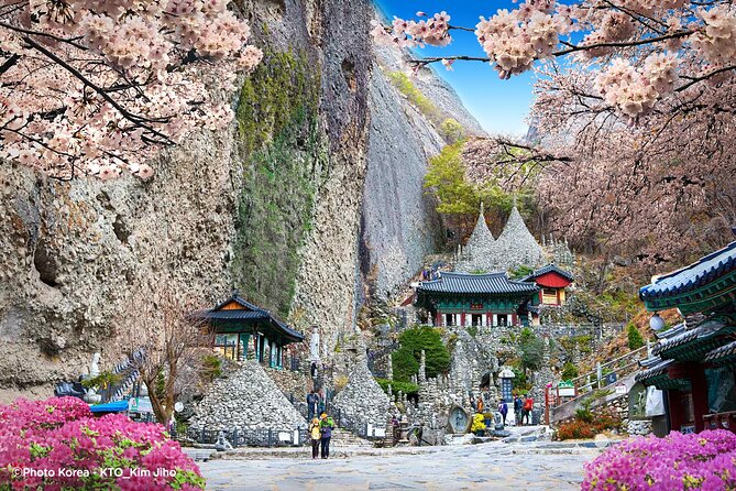 Maisan Cherry Blossom and Jeonju Hanok Village - How This One-Day Spring Route Works From Seoul