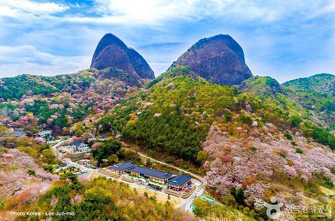 Maisan Cherry Blossom and Jeonju Hanok Village - Price and Value: What You’re Paying For (and What You’re Not)