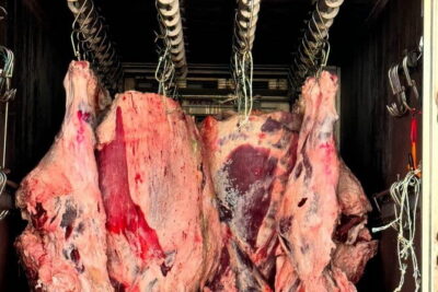 Majang Meat Market Experience: Private Tour with Han-woo Beef BBQ - Majang Meat Market: What You’re Really Walking Into
