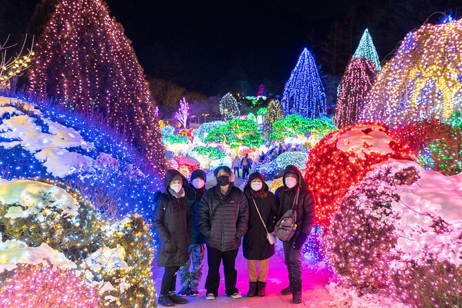 Make Your Trip Around Nami Island With an Expert(DSLR option) - A Nami Island Photo Day Built Around Your Timing