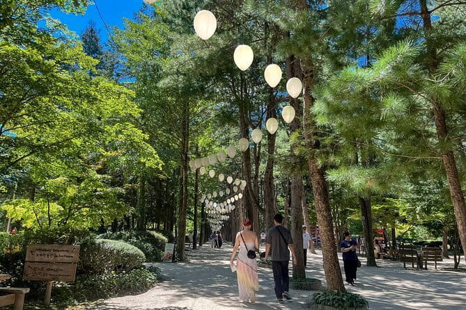 Max Out Seoul: Must Visit City Highlights Panoramic Day Tour - Jamsil and the Han River: Lotte World Tower Views and Riverside Air