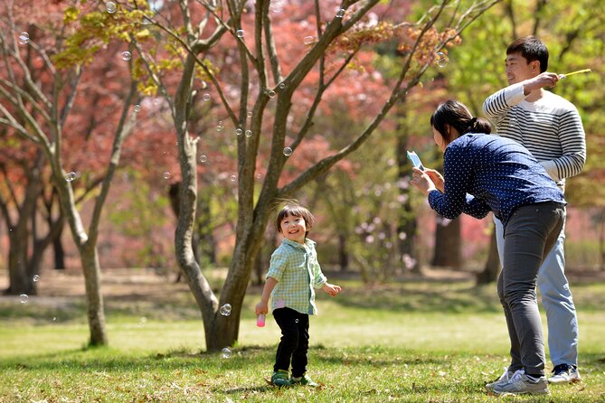Mount Seorak and Nami Island One Day Tour from Seoul - Mount Seorak / Seoraksan National Park: where the views pay off