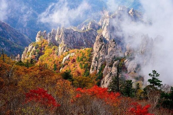 Mt.Seorak & Naksan Temple Day Trip from Seoul - Naksansa Temple: one hour above the sea