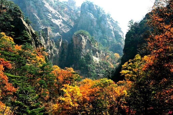 Mt.Seorak & Naksan Temple Day Trip from Seoul - Should you book this Mt. Seorak & Naksansa Temple day trip?