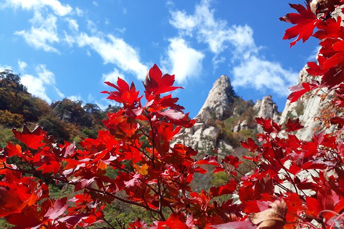 Mt. Seorak+Nami Island+Garden of Morning Calm Day Trip from Seoul - Getting there: AC minivan pickup choices, ferry logistics, and why traffic matters