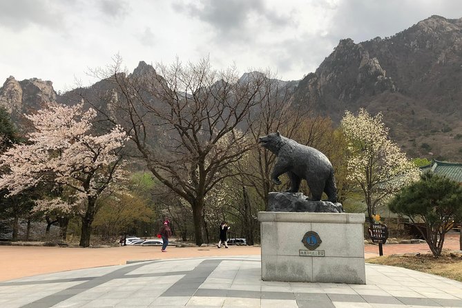 Mt. Seorak+Nami Island+Garden of Morning Calm Day Trip from Seoul - Nami Island: perfect for a walk, tricky for photos, and still worth the ferry ride