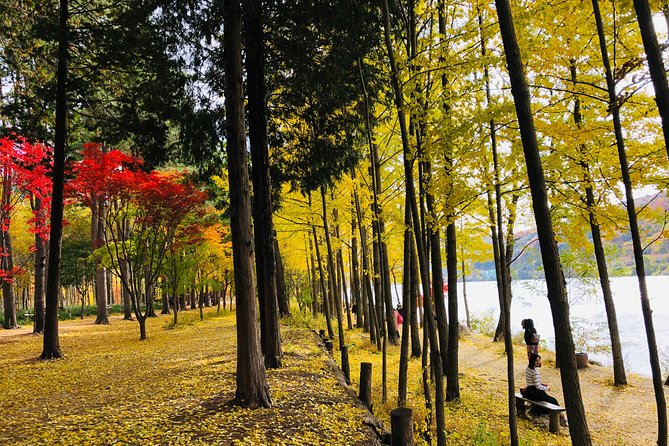 Mt. Seorak+Nami Island+Garden of Morning Calm Day Trip from Seoul - Price and value: what $95.18 buys (and where you may pay extra)