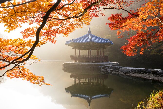 Naejangsan National Park Autumn Foliage One Day Tour from Seoul - A long day for serious autumn color