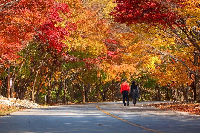 Naejangsan National Park Autumn Foliage One Day Tour from Seoul - Naejangsan National Park: how the free time works for autumn hikers
