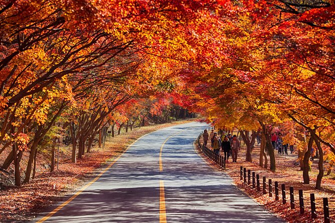 Naejangsan National Park Autumn Foliage One Day Tour from Seoul - The Naejangsa Temple visit: a clear cultural stop after the hike