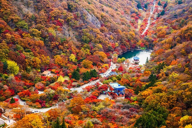 Naejangsan National Park Autumn Foliage One Day Tour from Seoul - Price and what $46.29 really buys you