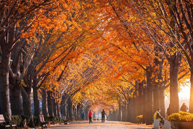 Naejangsan National Park Autumn Foliage One Day Tour from Seoul - Group size, staff language, and how to make the day feel smooth