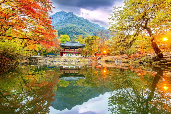 Naejangsan National Park Autumn Foliage One Day Tour from Seoul - Getting to Naejangsan: pickup, timing, and what the coach day really feels like