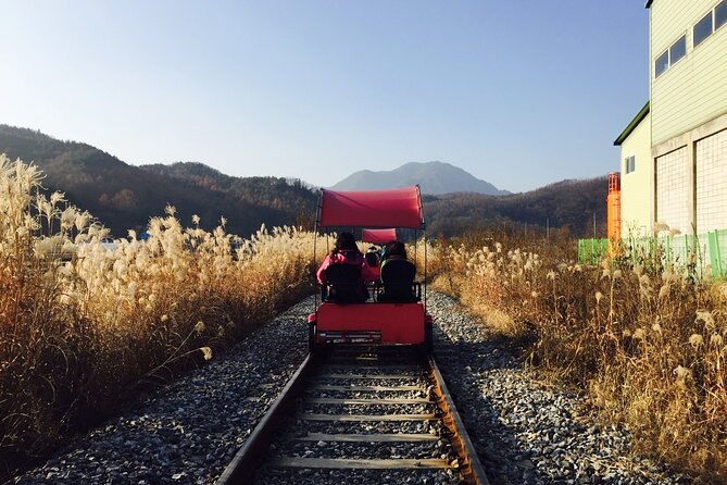 Nami Island and Begonia Bird Park Tour from Seoul (opt Railbike) - Gapyeong Begonia Bird Park: Flowers, Birds, and Alpaca Time