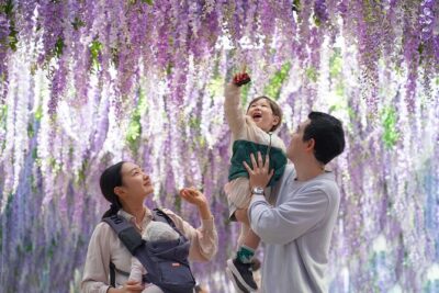 Nami Island and Begonia Bird Park Tour from Seoul (opt Railbike) - Nami Island in the Middle of the Day: Tree-Lined Walks and Winter Sonata Photos