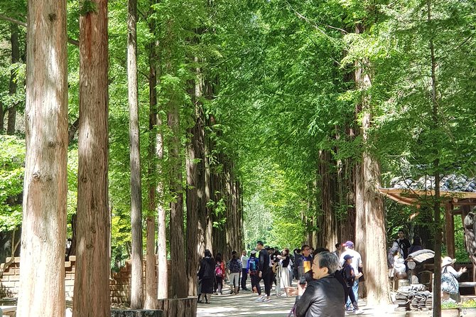 Nami Island and Petite France - Filming location - Key highlights worth your time