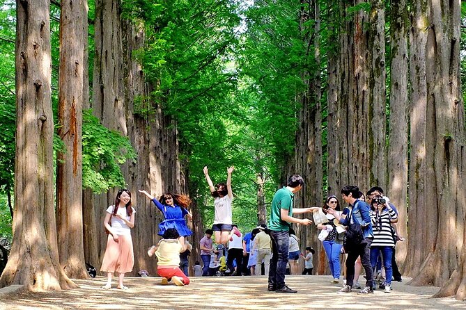 Nami Island, Cable Car, Garden of Morning Calm Panoramic Tour - How This Seoul Day Trip Flows (Without You Wrestling Logistics)