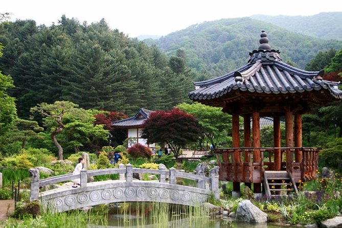 Nami Island, Cable Car, Garden of Morning Calm Panoramic Tour - The Ginseng Stop: A Quick Cultural Detour and Shopping Reality Check