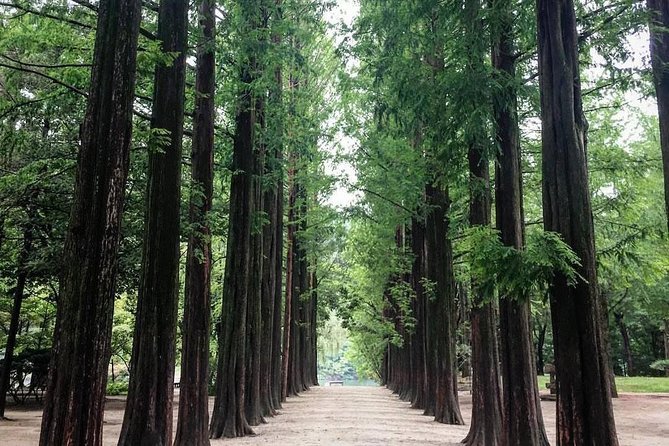 Nami Island & Nearby Attractions : Charter Van Tour With Driver - Gangchon Rail Park: tunnel rail bikes with river views