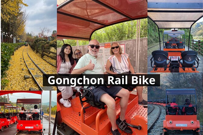 Nami Island & Petite France & Italian Village & Gangchon Rail Bike One-Day Tour - Nami Island: The Tree-Lined Walk That’s Worth Slowing Down For