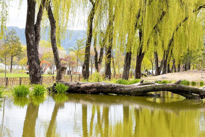 Nami Island & Petite France with Italian Village One-Day Tour - Should You Book This Nami Island & Petite France One-Day Tour?
