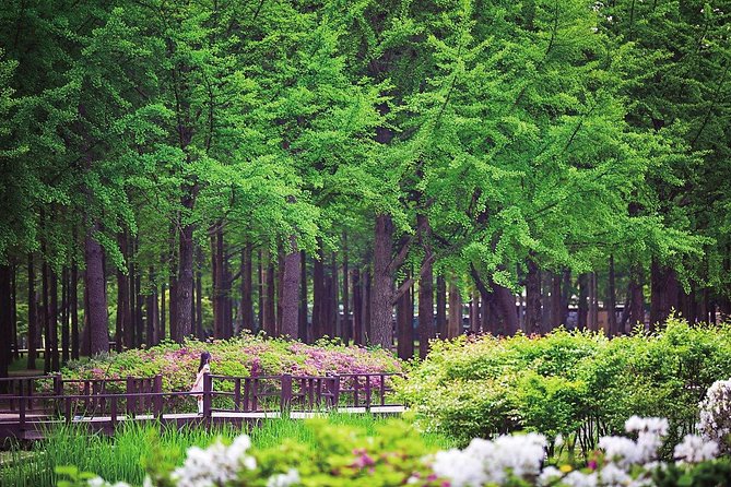 Nami Island & Petite France with Italian Village One-Day Tour - The Included Tickets and the Real Value of $58.10