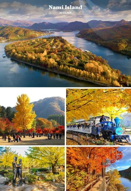 Nami Island, Railbike & Alpaca Garden Day Trip from Seoul - What to pack for an autumn countryside day from Seoul