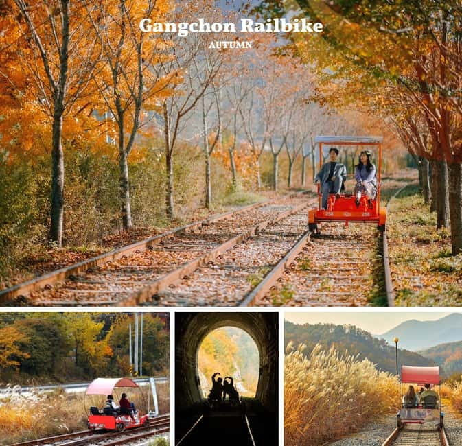 Nami Island, Railbike & Alpaca Garden Day Trip from Seoul - Why Nami, Railbike, and Alpacas make a great autumn mix