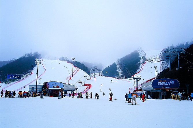Nami Island + Ski Tour - A winter day from Seoul that actually fits in 10 hours