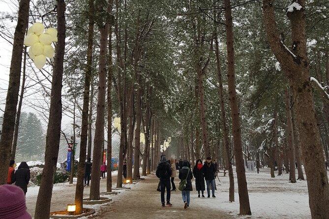 Nami Island + Ski Tour - Nami Island in winter: the short ferry hop and the 1-hour walk