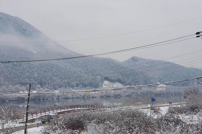Nami Island + Ski Tour - Price and value: is $100 fair for Seoul in winter?