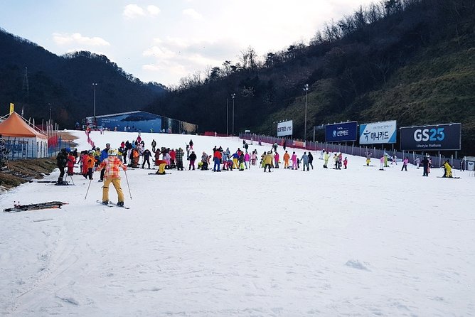 Nami Island + Ski Tour - Gangchon Elysian Ski Resort: what you’ll do during the 2-hour snow block