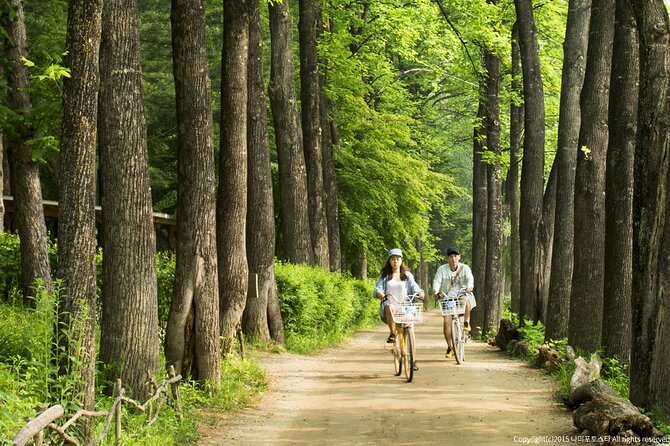 Nami Island Trip with Petite France & Italian Village and Gangchon Rail Bike - Nami Island: tree-lined walking, bike rental options, and real breathing room