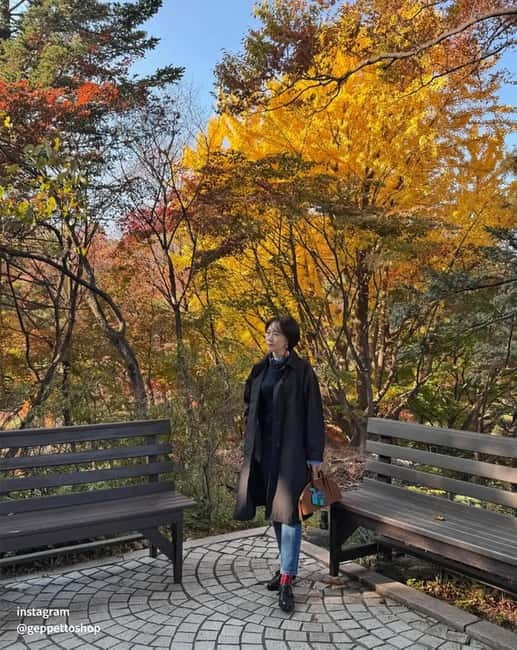 Nami & Maple Road & Theatre des Lumieres Day Tour from Seoul - How the Whole Day Flends Together (Nature + Culture + Creativity)