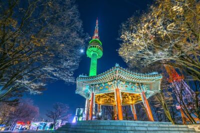 Night Flexible Private Guided Tour in Seoul(Optional Layover) - Kwangjang Market After Dark: Food You Can Actually Eat Like a Local