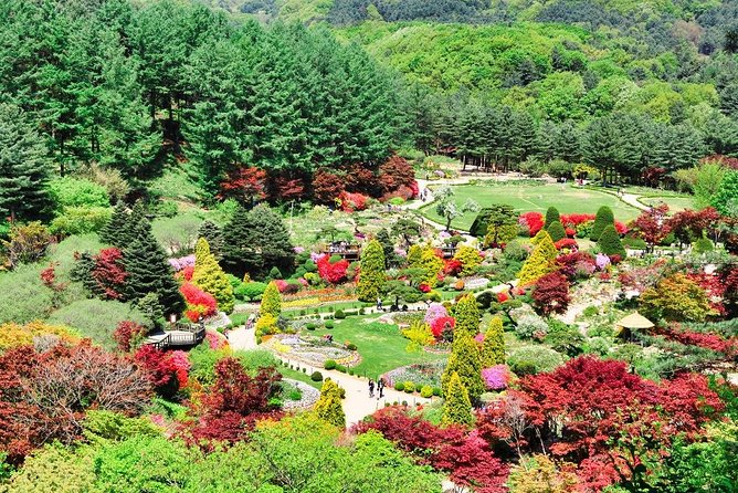 One Day Private Tour-Nami, Petite and Garden of Morning Calm - Why This Private Day Works So Well in Seoul