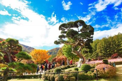 One Day Private Tour-Nami, Petite and Garden of Morning Calm - Door-to-Door Pickup and a Private Minivan (Real Time Savings)