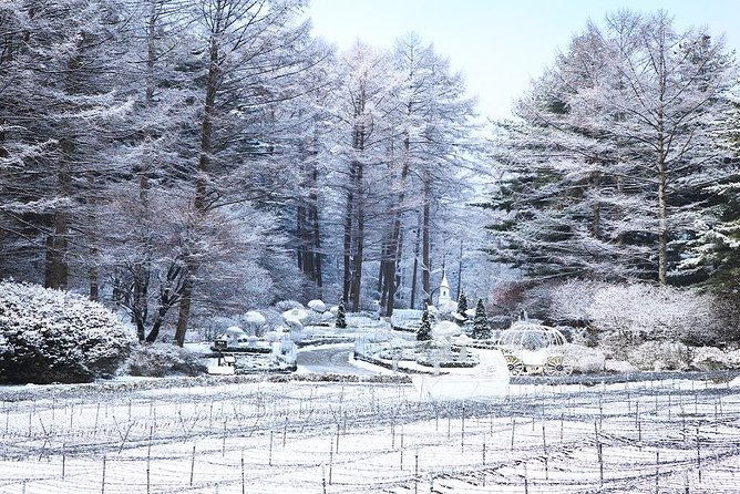 One Day Private Tour-Nami, Petite and Garden of Morning Calm - Who This Tour Suits Best