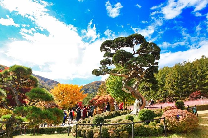 One Day Private Tour-Nami, Petite and Garden of Morning Calm - Door-to-Door Pickup and a Private Minivan (Real Time Savings)