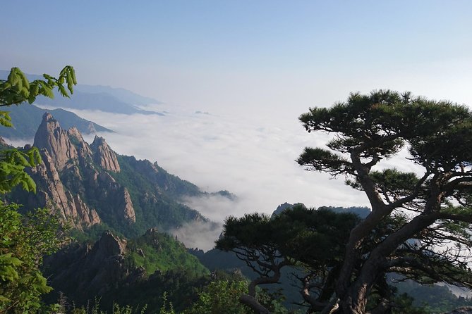 One-Day Tour for stunning Mt.Seoraksan from Seoul - How the Mt. Seoraksan day trip fits into 10 hours