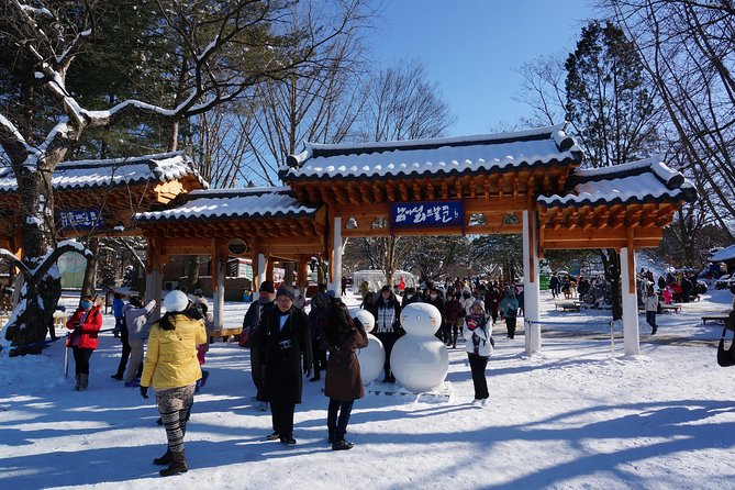 [Perfect Private Tour] Nami island, Petite France and Organic Strawberry Farm - From hotel pickup to Nami Island: make the most of your 4 hours